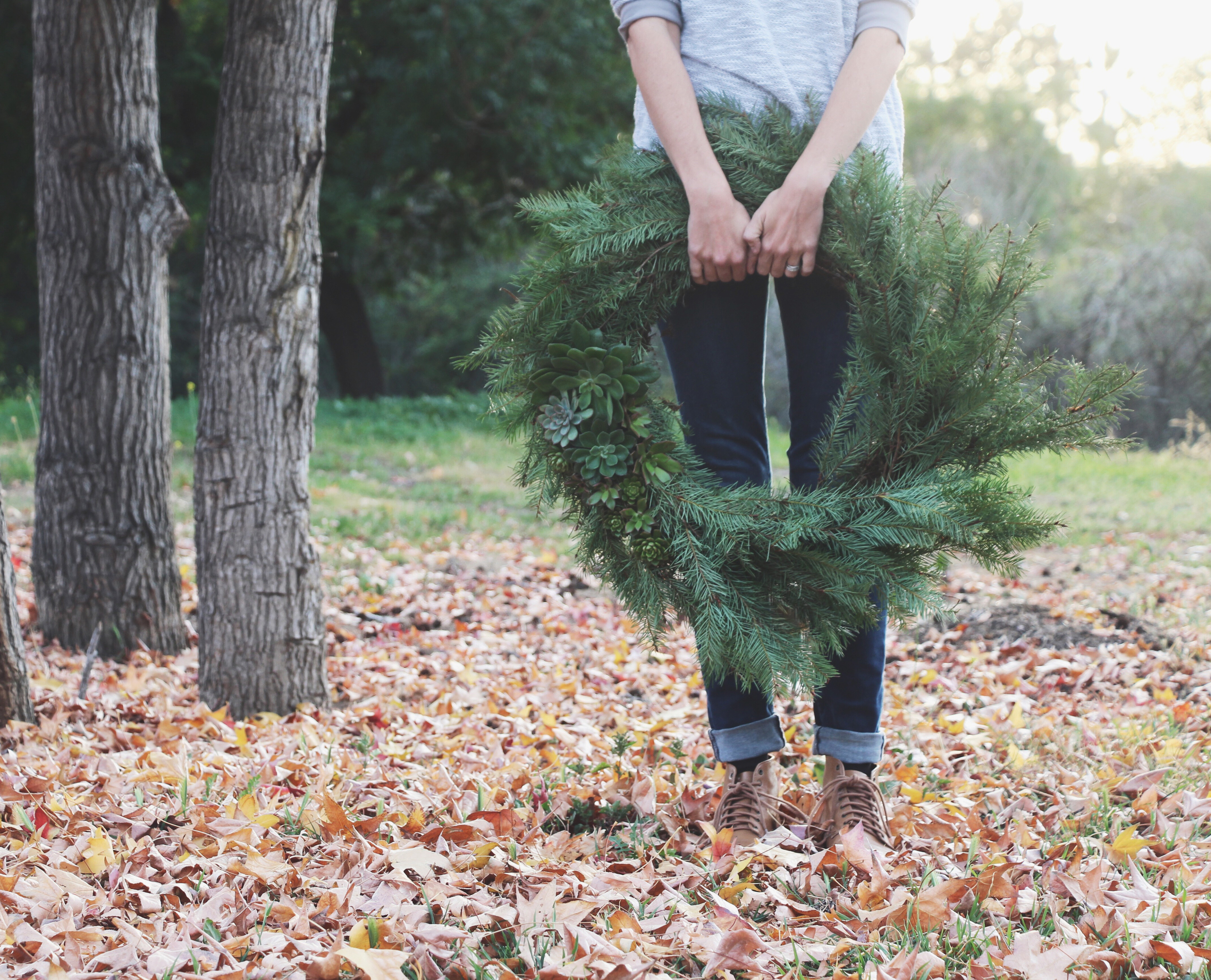 DIY Living Christmas Wreath with Succulents via Needles + Leaves